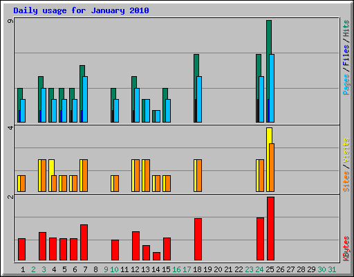 Daily usage for January 2010